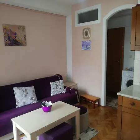 Sk City Center Apartment Ohri Dış mekan fotoğraf