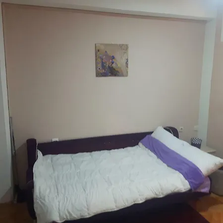 Sk City Center Apartment Ohri Dış mekan fotoğraf